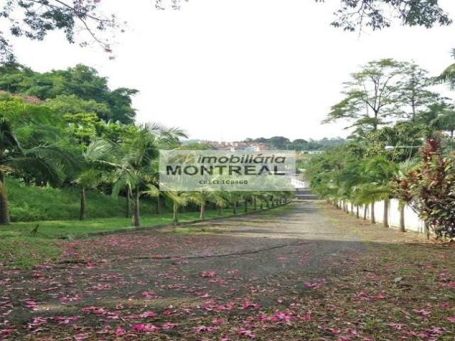 #4202 - Galpão / Depósito / Armazém para Venda em São Bernardo do Campo - SP - 3